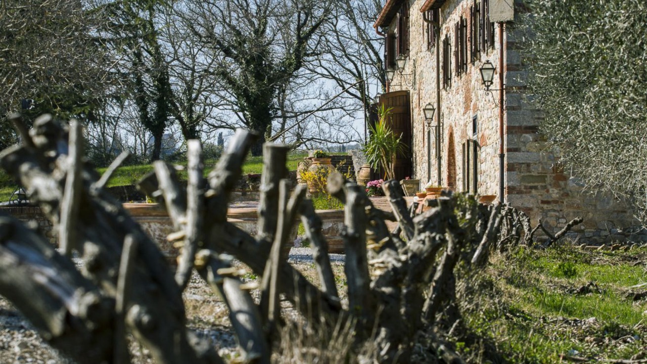 Photo of Outdoor in Gaiole in Chianti