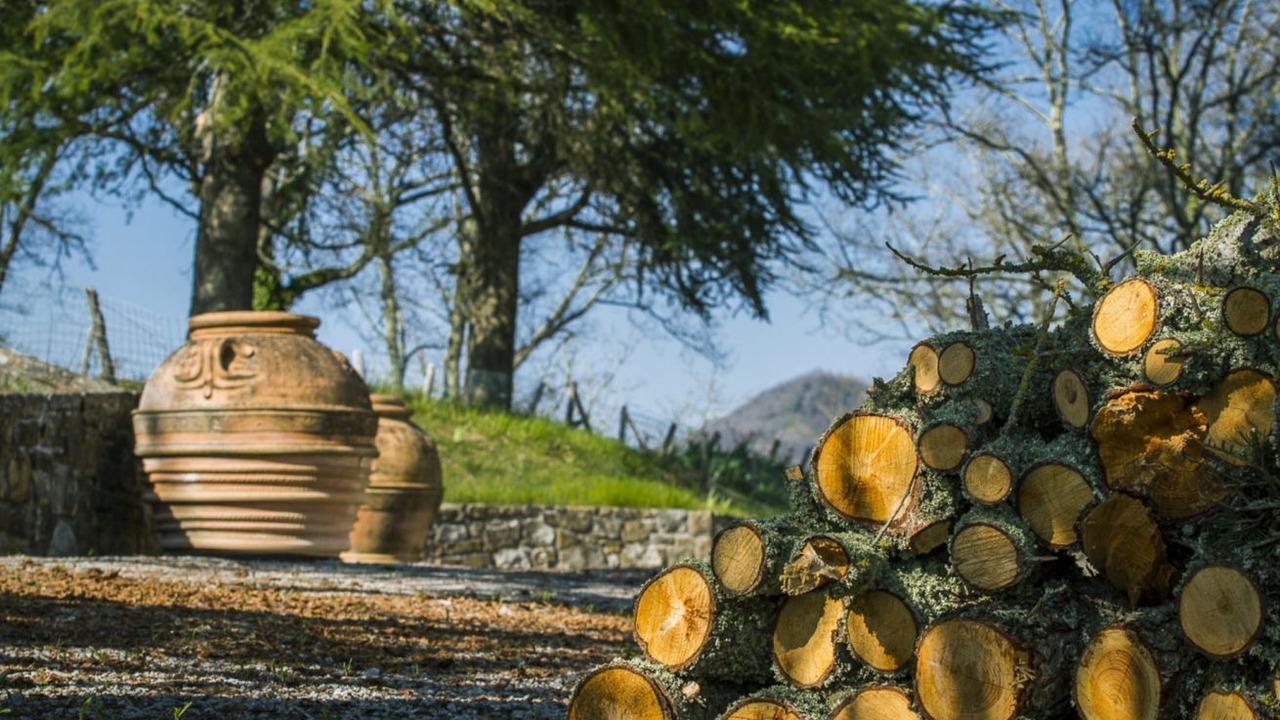 Photo of Outdoor in Gaiole in Chianti