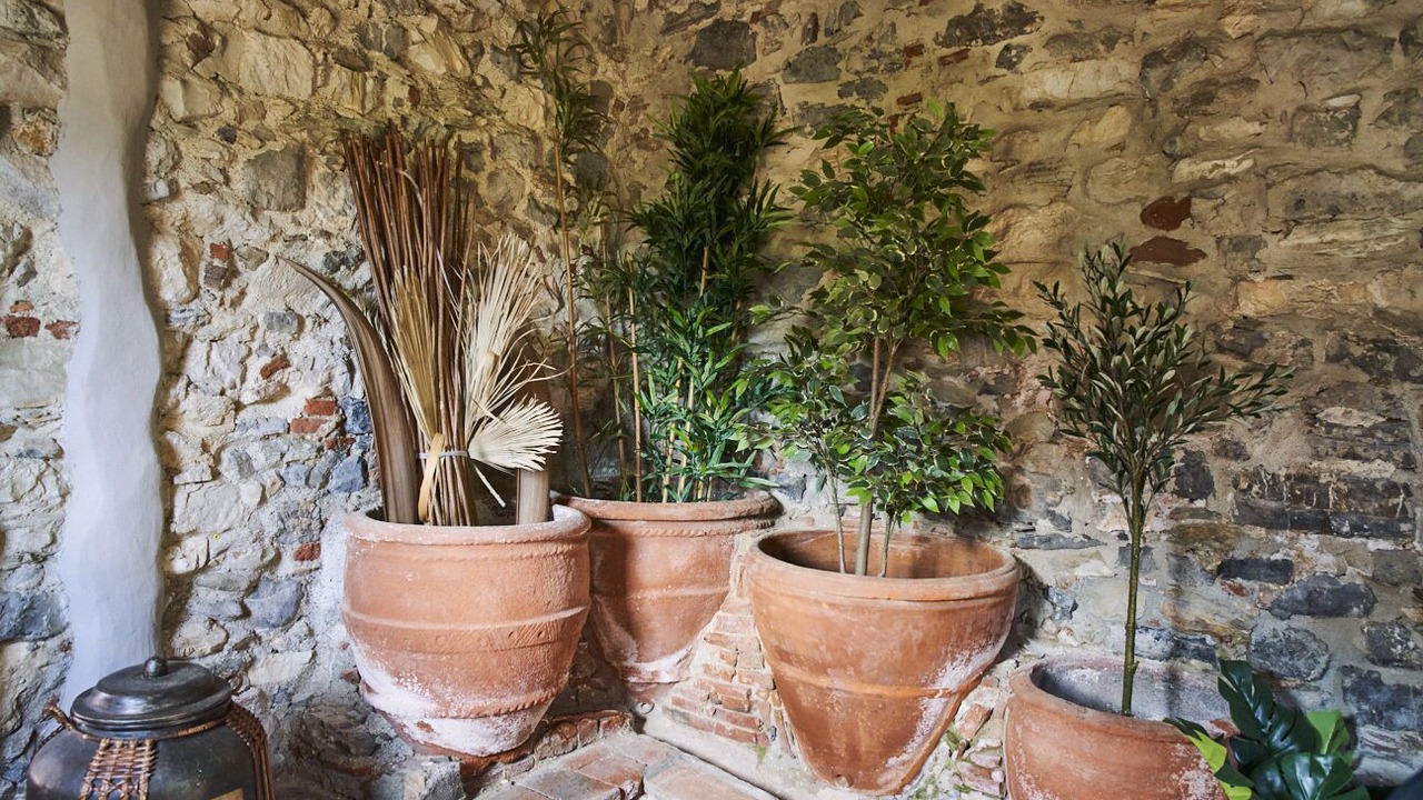 Photo of Outdoor in Borgo a Mozzano