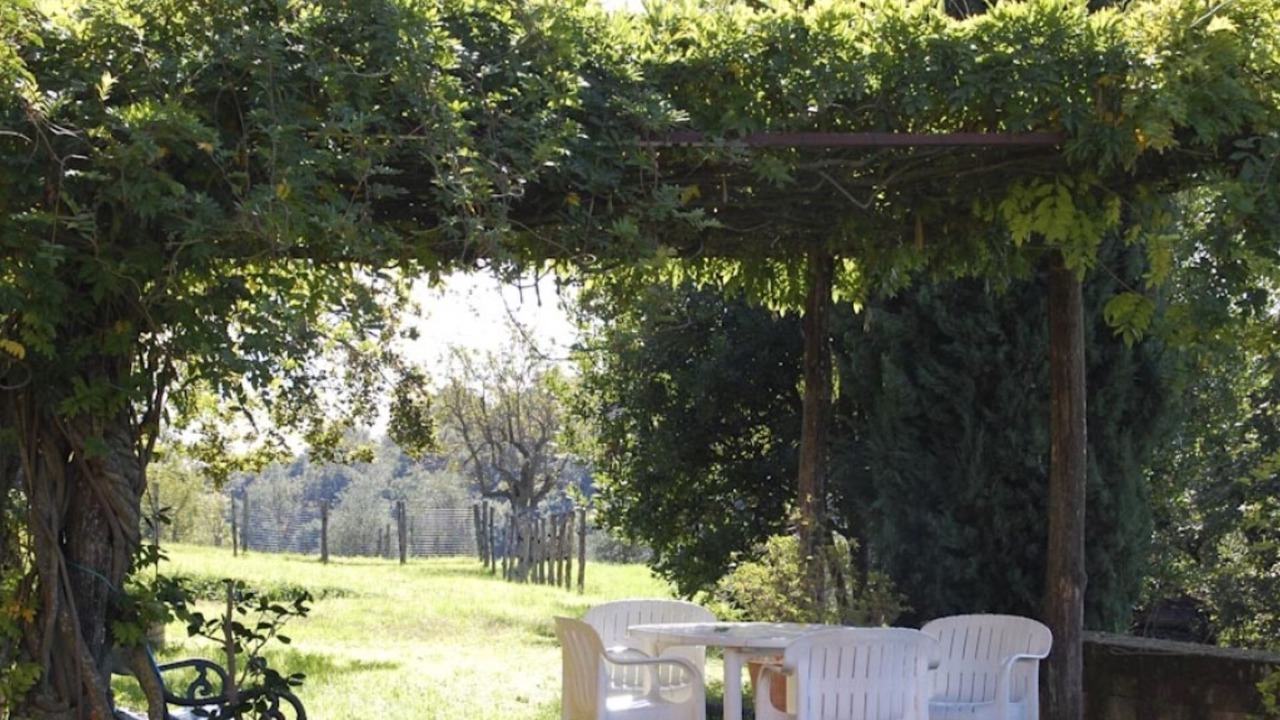 Photo of Outdoor in Palaia