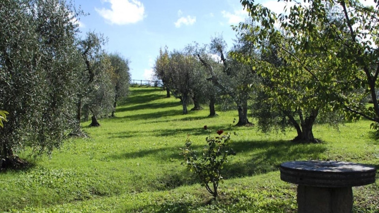 Photo of Outdoor in Palaia