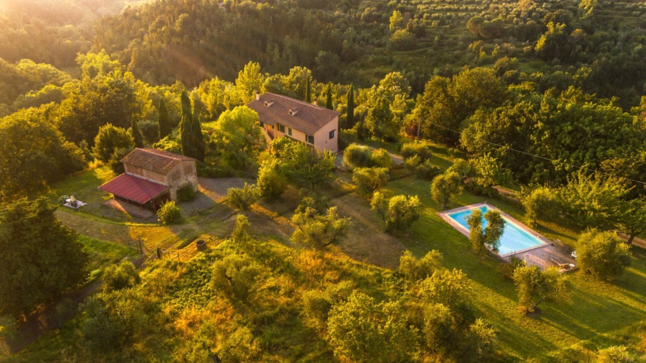 Photo of Outdoor in Palaia