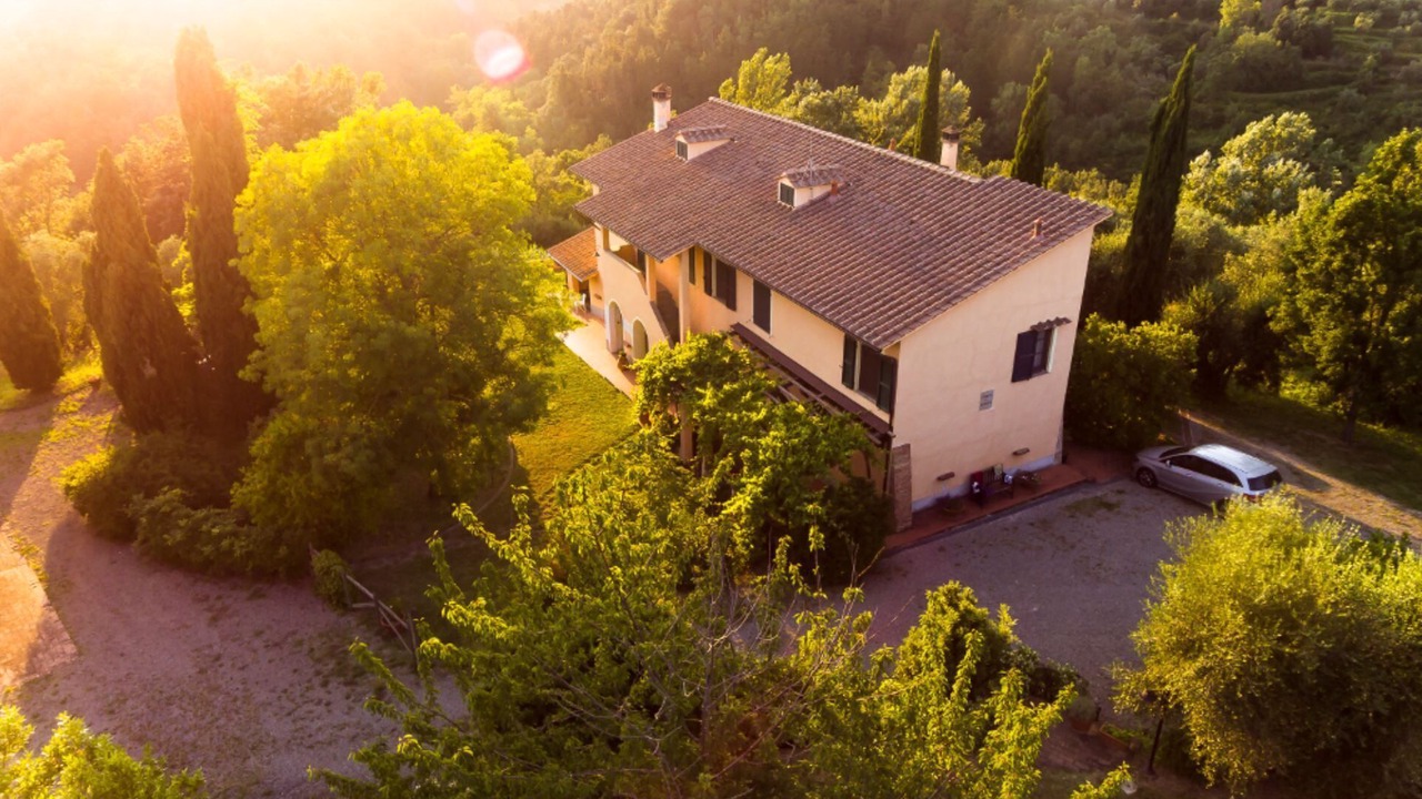 Photo of Outdoor in Palaia