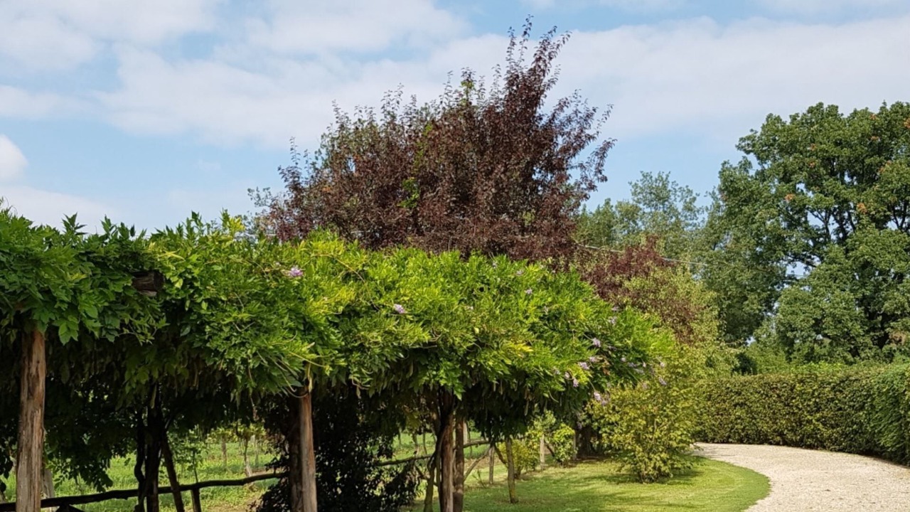Photo of Outdoor in Brisighella