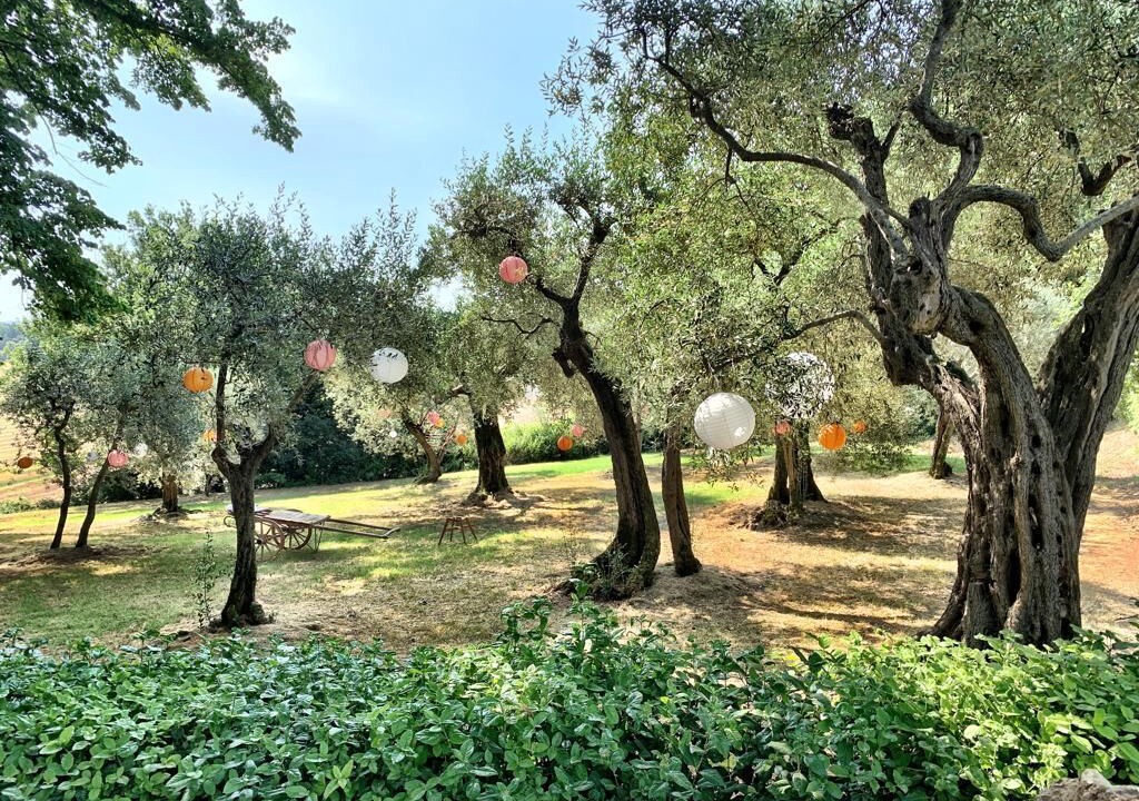 Photo of Outdoor in Castiglione del Lago