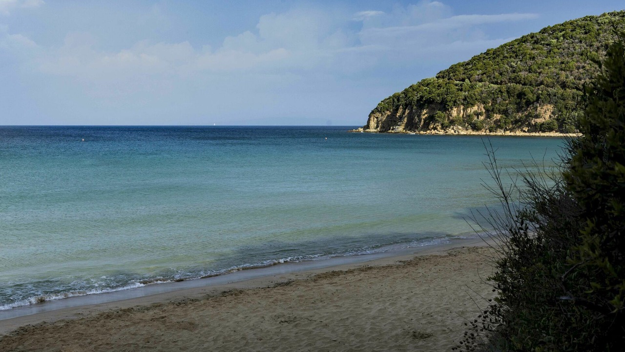 Photo of Outdoor in Scarlino