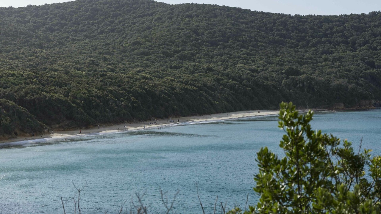 Photo of Outdoor in Scarlino