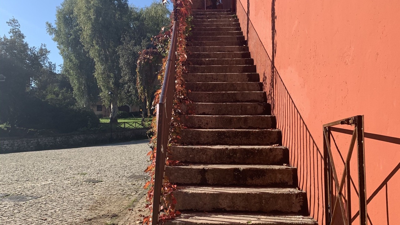 Photo of Outdoor in Abbazia di Fossanova