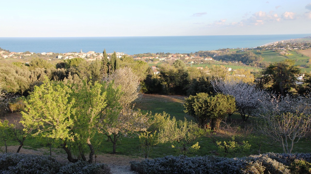 Photo of Outdoor in Sirolo