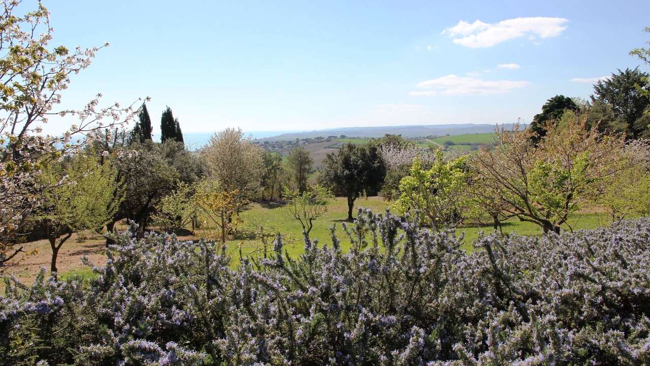 Photo of Outdoor in Sirolo