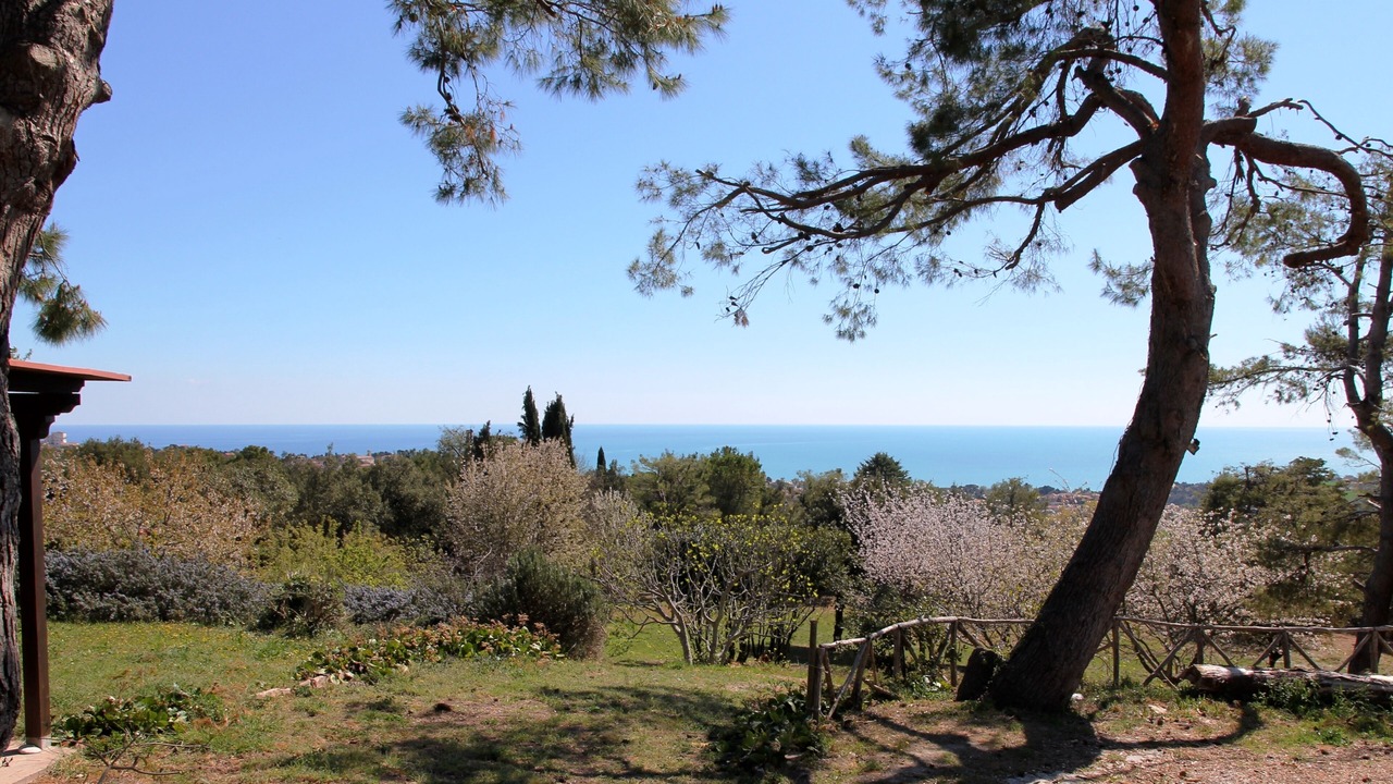 Photo of Outdoor in Sirolo