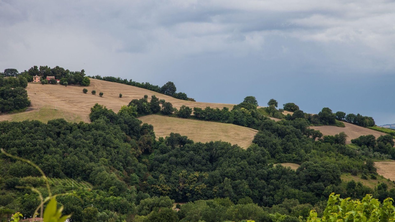 Photo of Others in Fossombrone