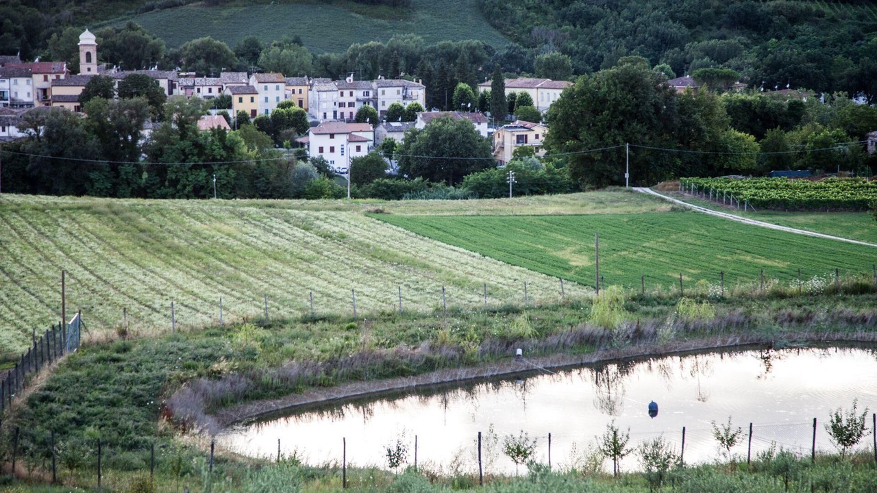 Photo of Others in Fossombrone