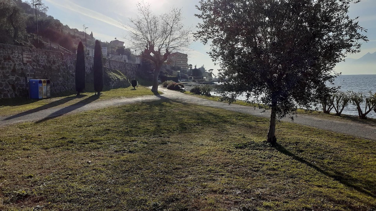 Photo of Others in Porto