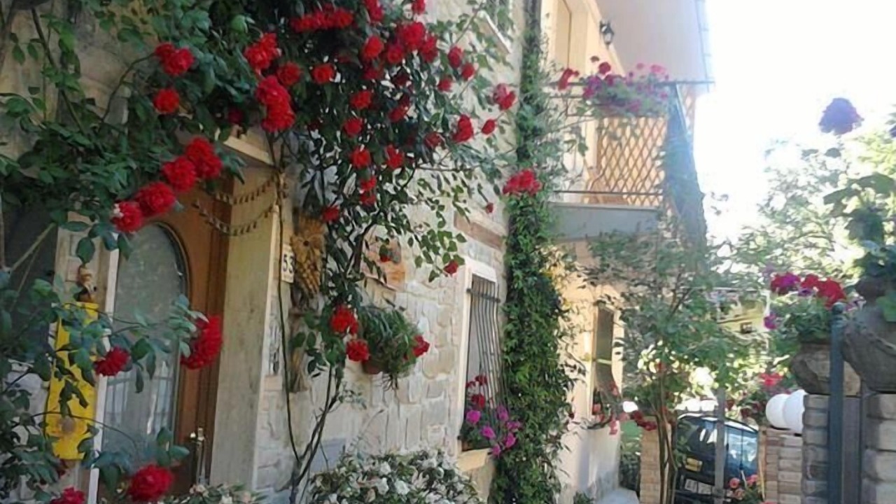 Photo of Outdoor in Marsia