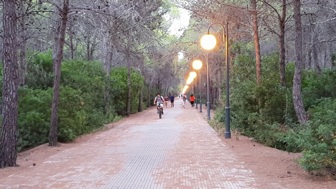 Photo of Others in Policoro