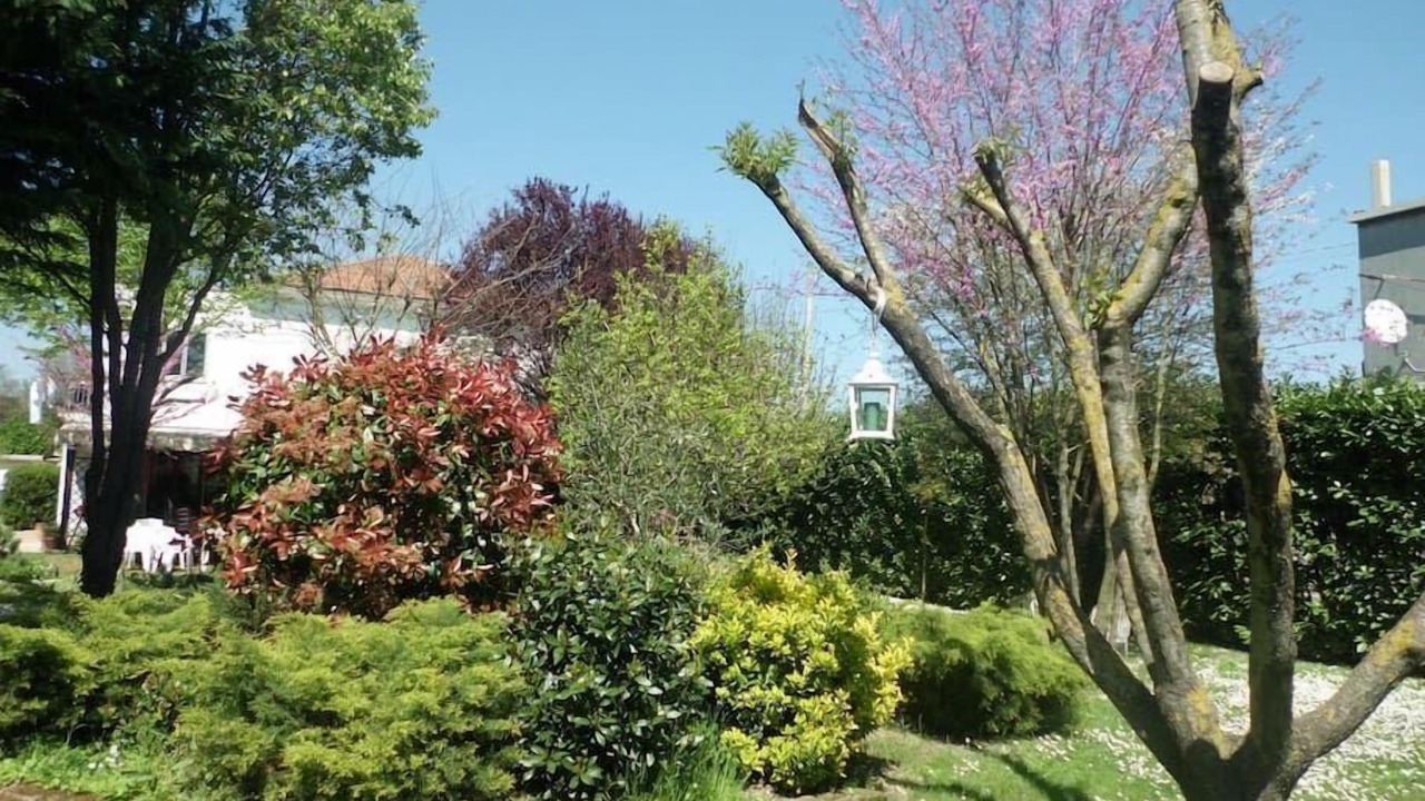 Photo of Outdoor in Viserba