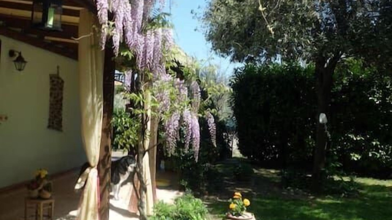 Photo of Outdoor in Viserba