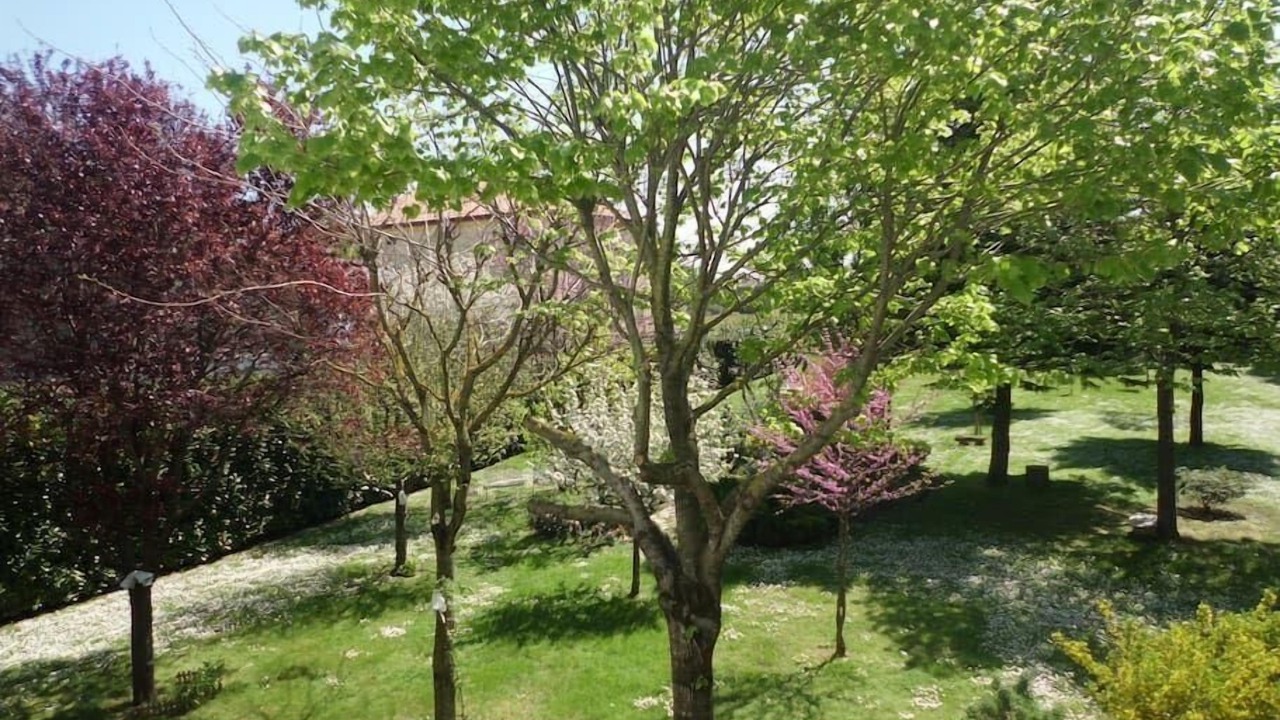 Photo of Outdoor in Viserba