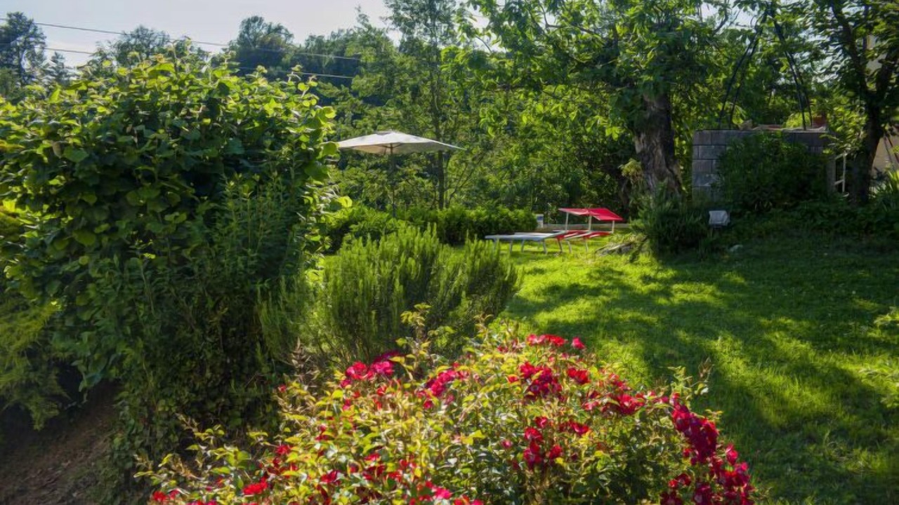 Photo of Outdoor in Piea