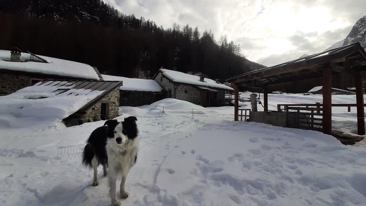 Photo of Outdoor in Fenis