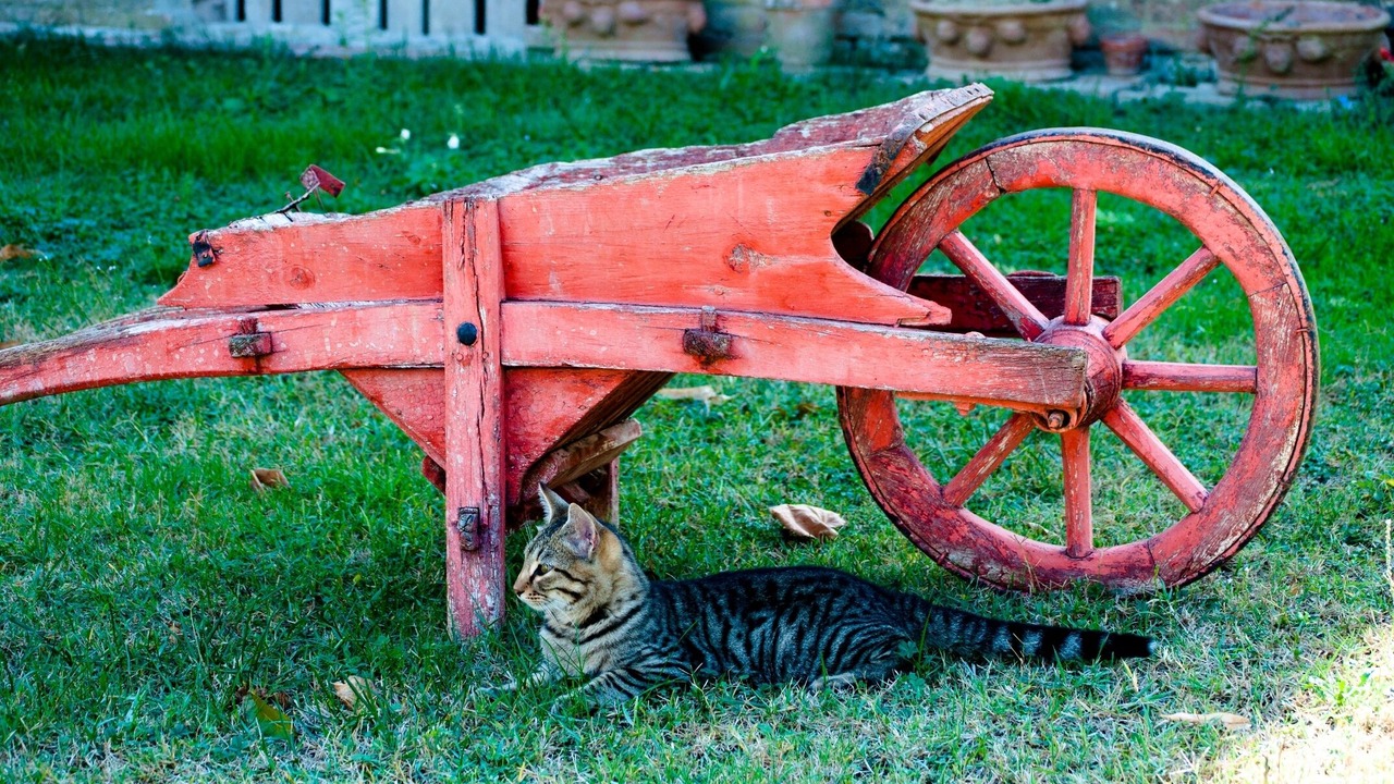 Photo of Outdoor in Toiano