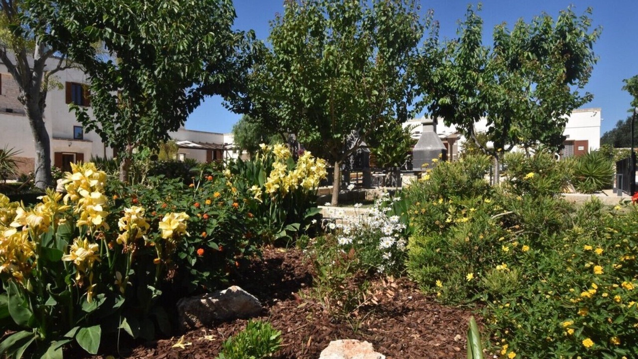Photo of Outdoor in Francavilla Fontana