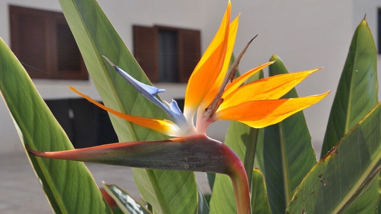 Photo of Others in Francavilla Fontana