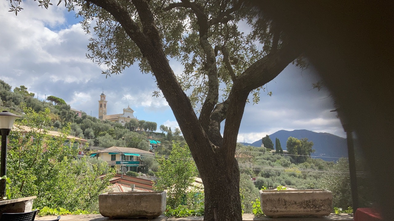 Photo of Outdoor in Recco