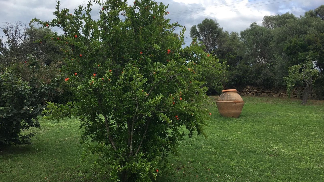 Photo of Outdoor in San Teodoro