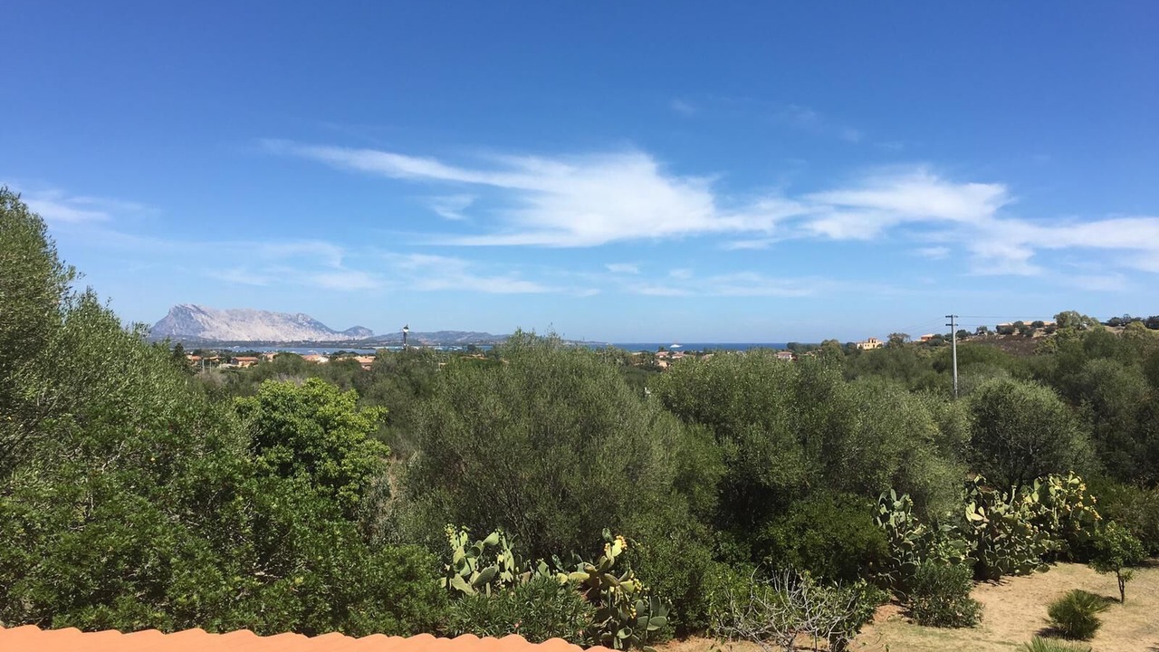 Photo of Others in San Teodoro