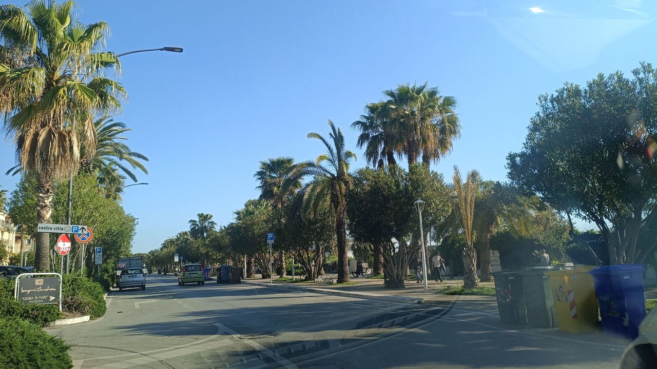 Photo of Others in San Benedetto del Tronto