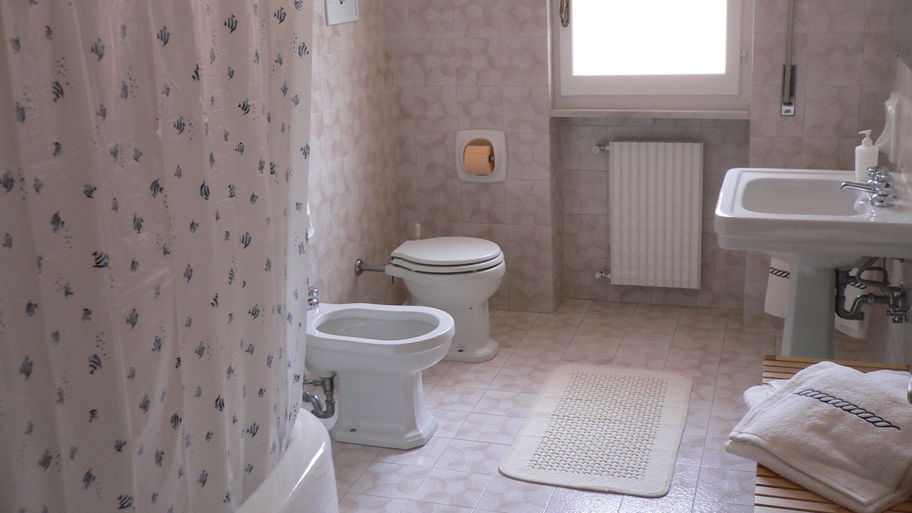 Photo of Bathroom in Sori