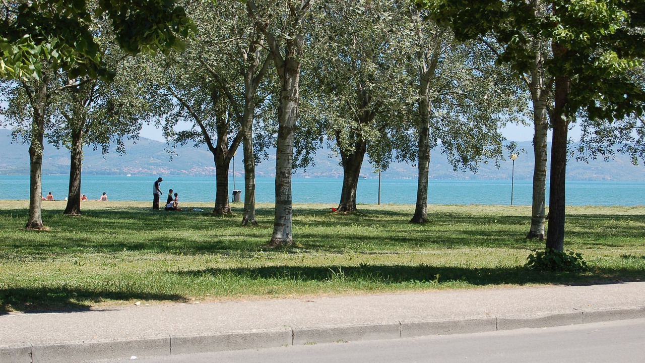 Photo of Others in Castiglione del Lago