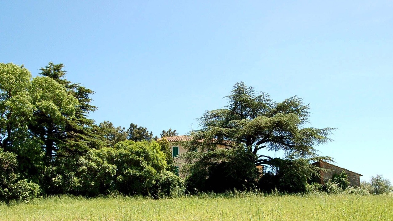 Photo of Outdoor in Castiglione del Lago
