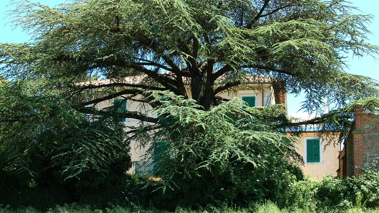 Photo of Outdoor in Castiglione del Lago