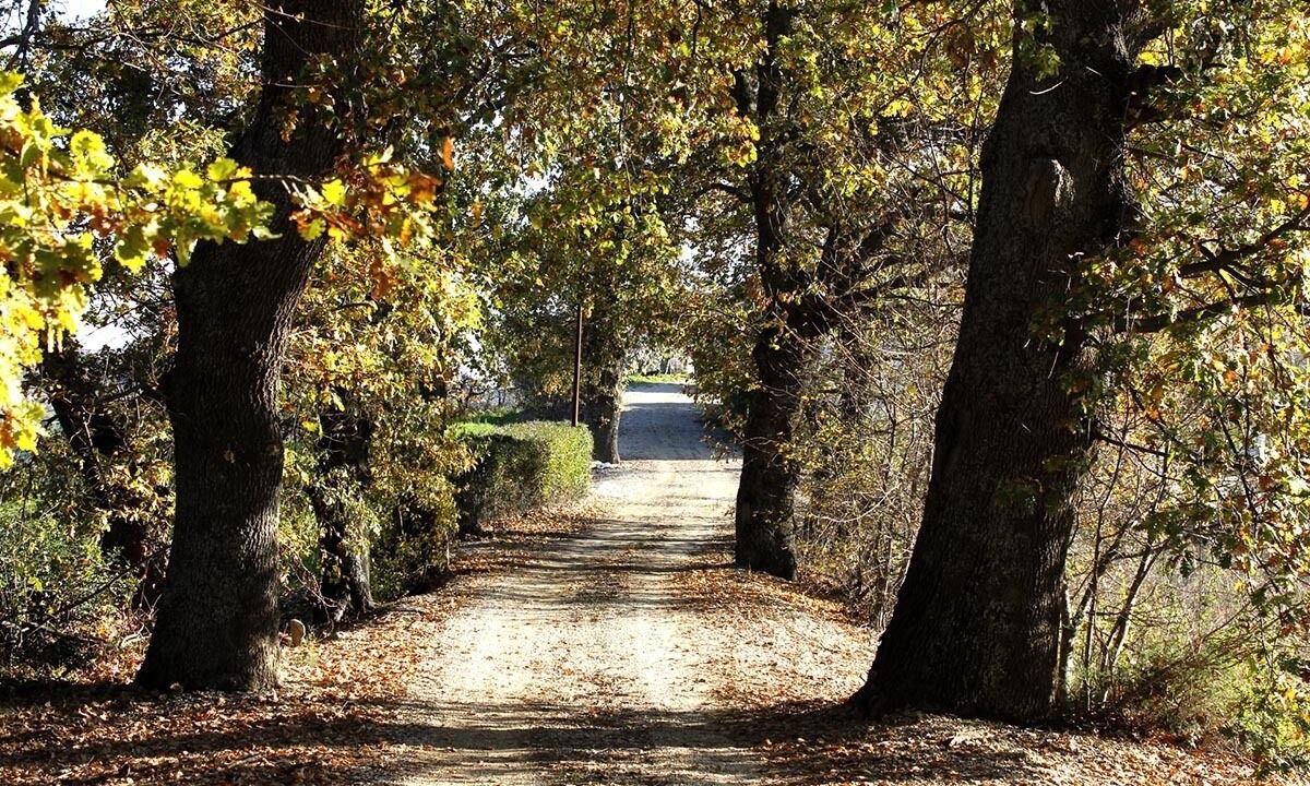 Photo of Outdoor in Cermignano