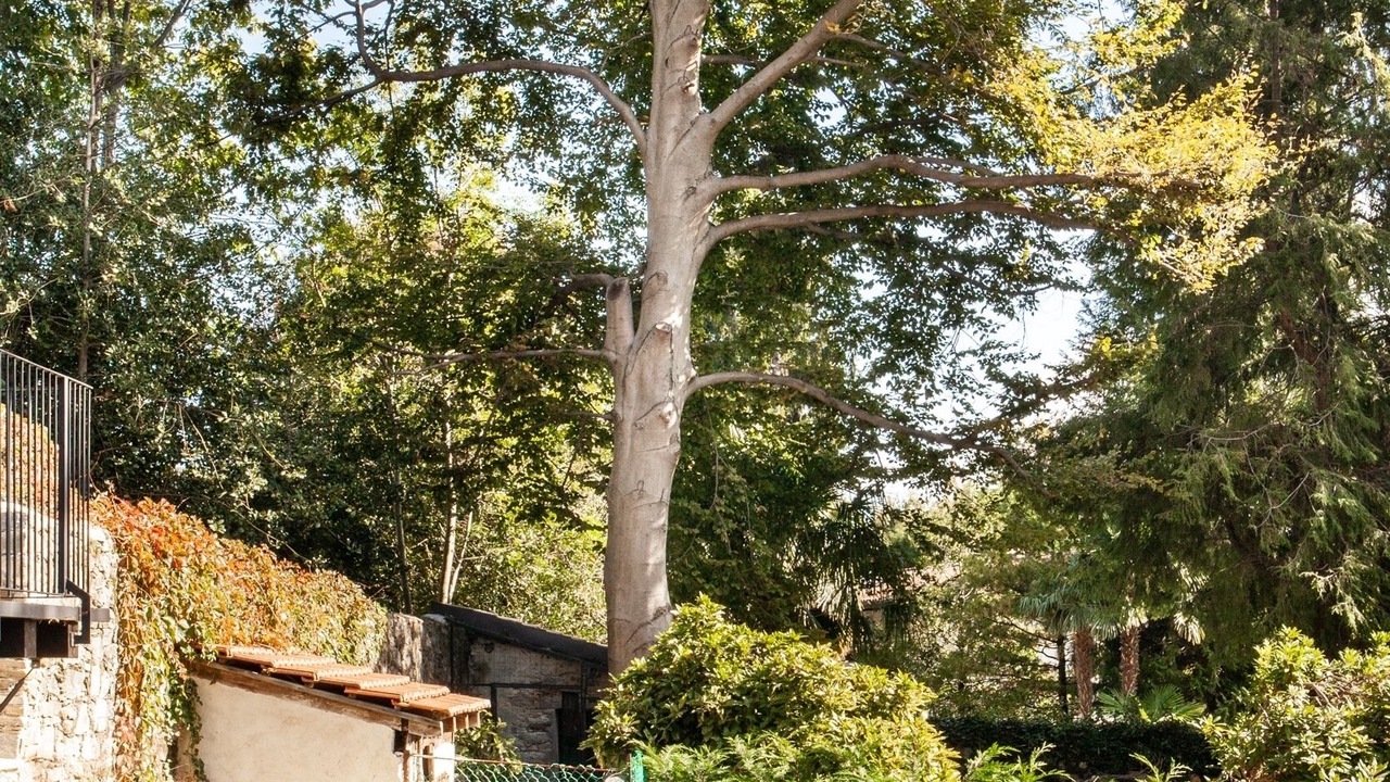 Photo of Outdoor in Cissano
