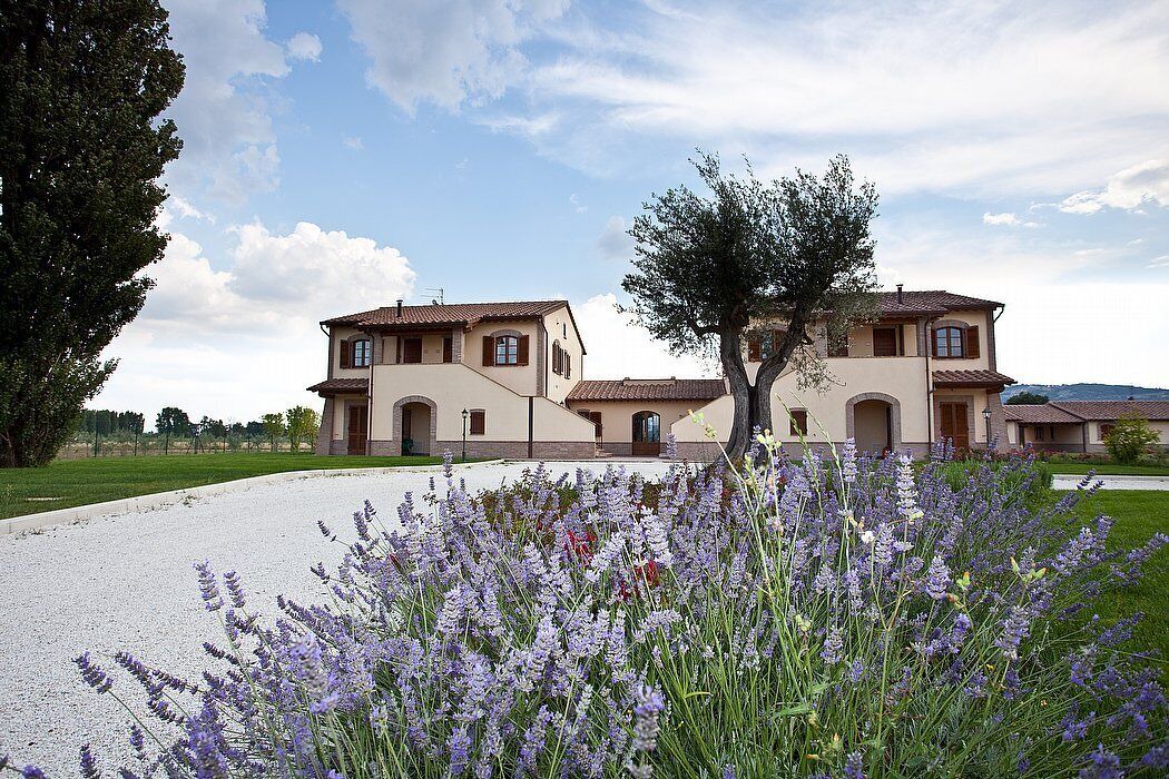 Photo of Outdoor in Cannara