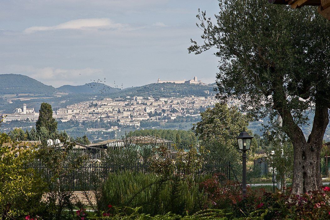 Photo of Outdoor in Cannara
