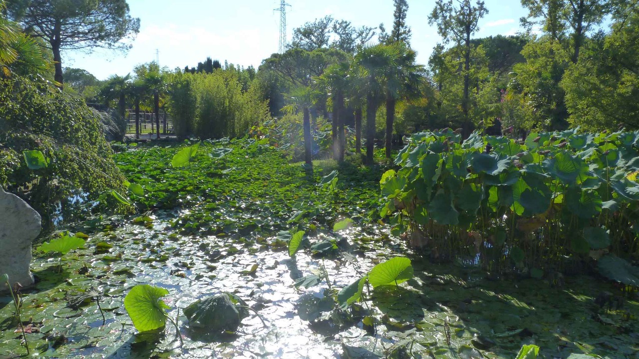 Photo of Outdoor in Lignano Sabbiadoro