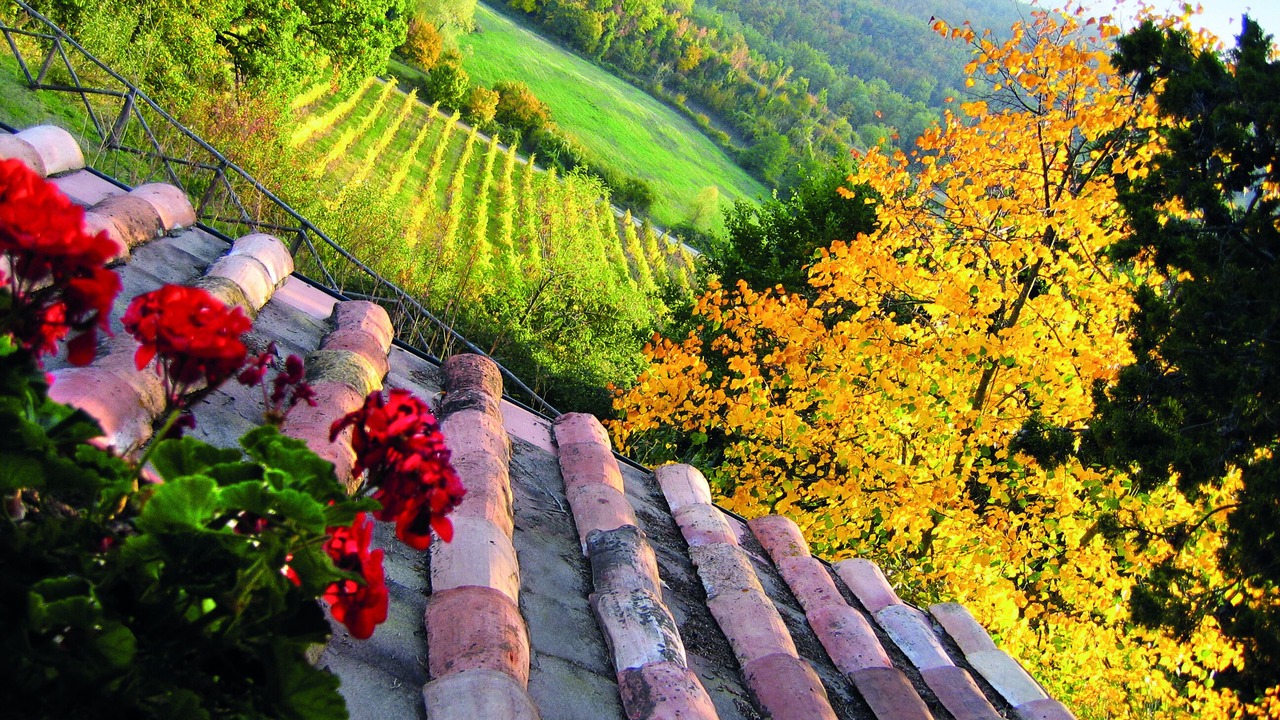 Photo of Outdoor in Castel Focognano