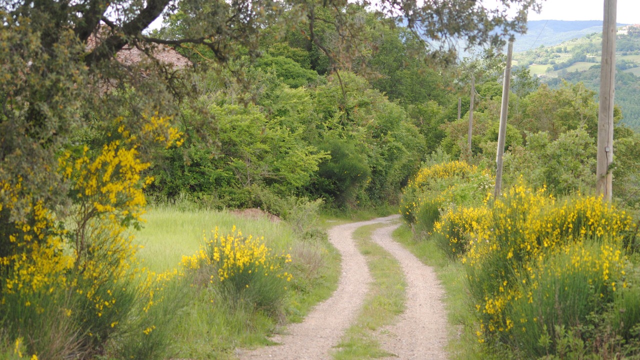 Photo of Outdoor in Radicondoli
