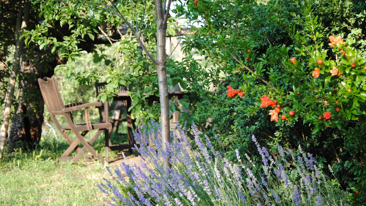 Photo of Outdoor in Radicondoli