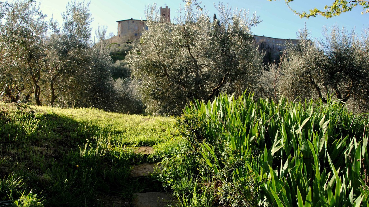 Photo of Outdoor in Radicondoli