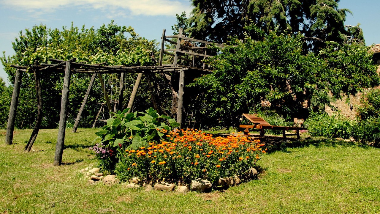 Photo of Outdoor in Radicondoli
