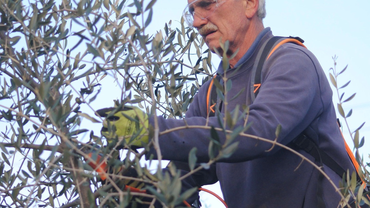 Photo of Others in Radicondoli