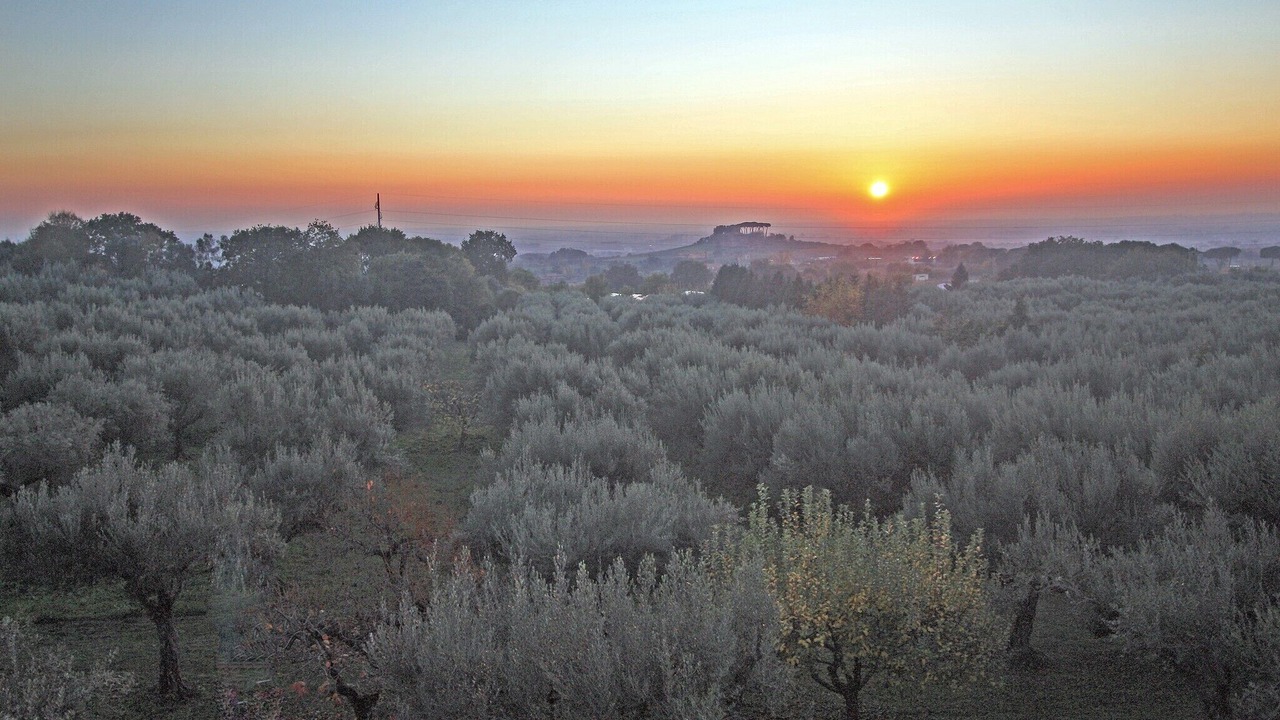 Photo of Others in Genzano di Roma