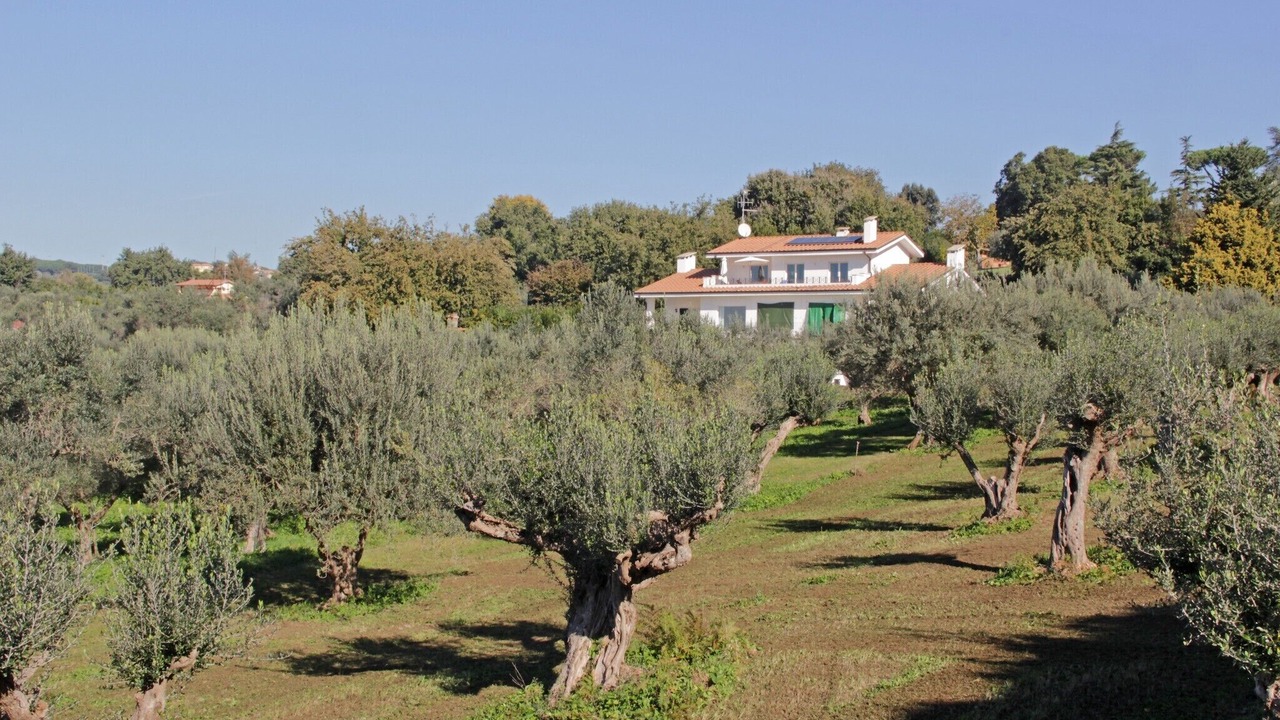 Photo of Outdoor in Genzano di Roma