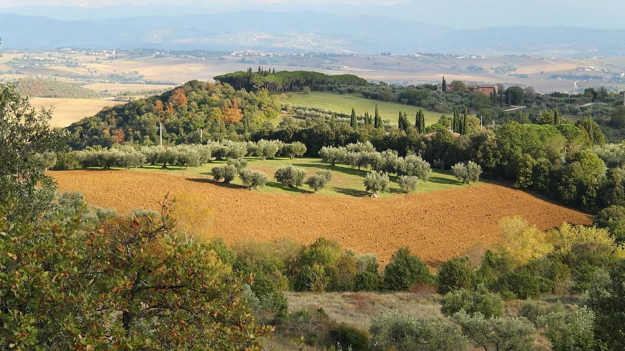 Photo of Others in Monte Vibiano Vecchio